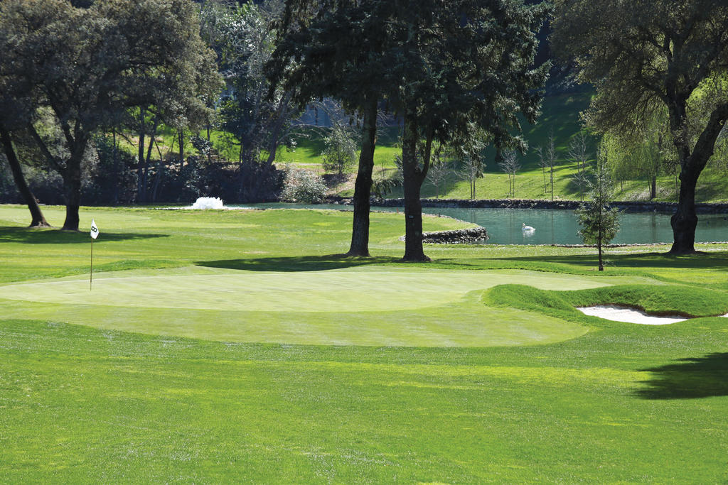 Meadowood Napa Valley St. Helena Exteriör bild